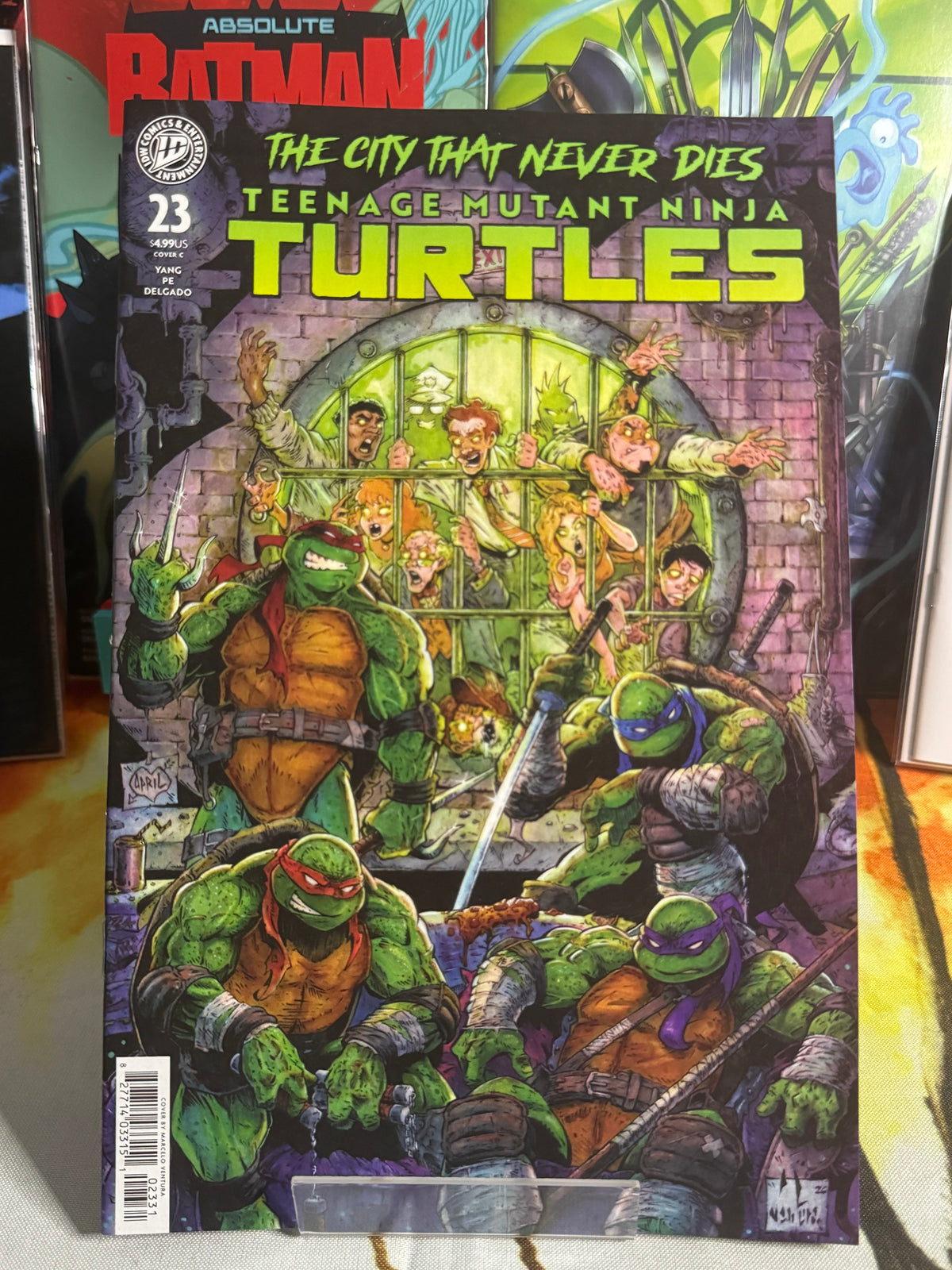 Teenage Mutant Ninja Turtles #23 CVR C (Ventura)